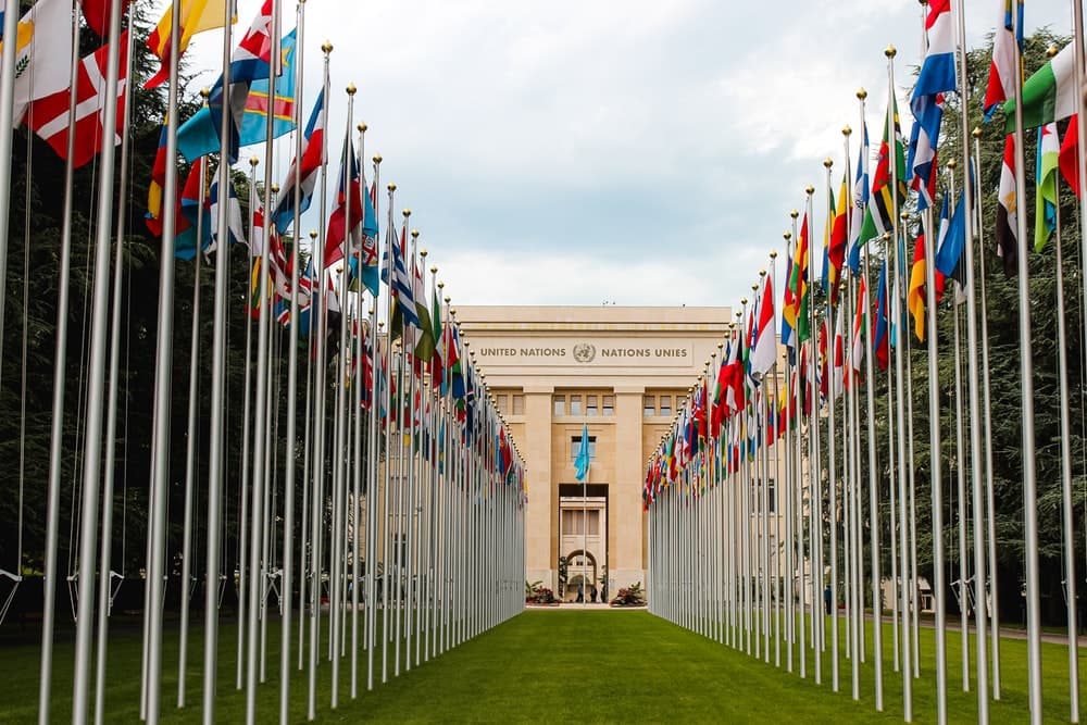 United Nations flags